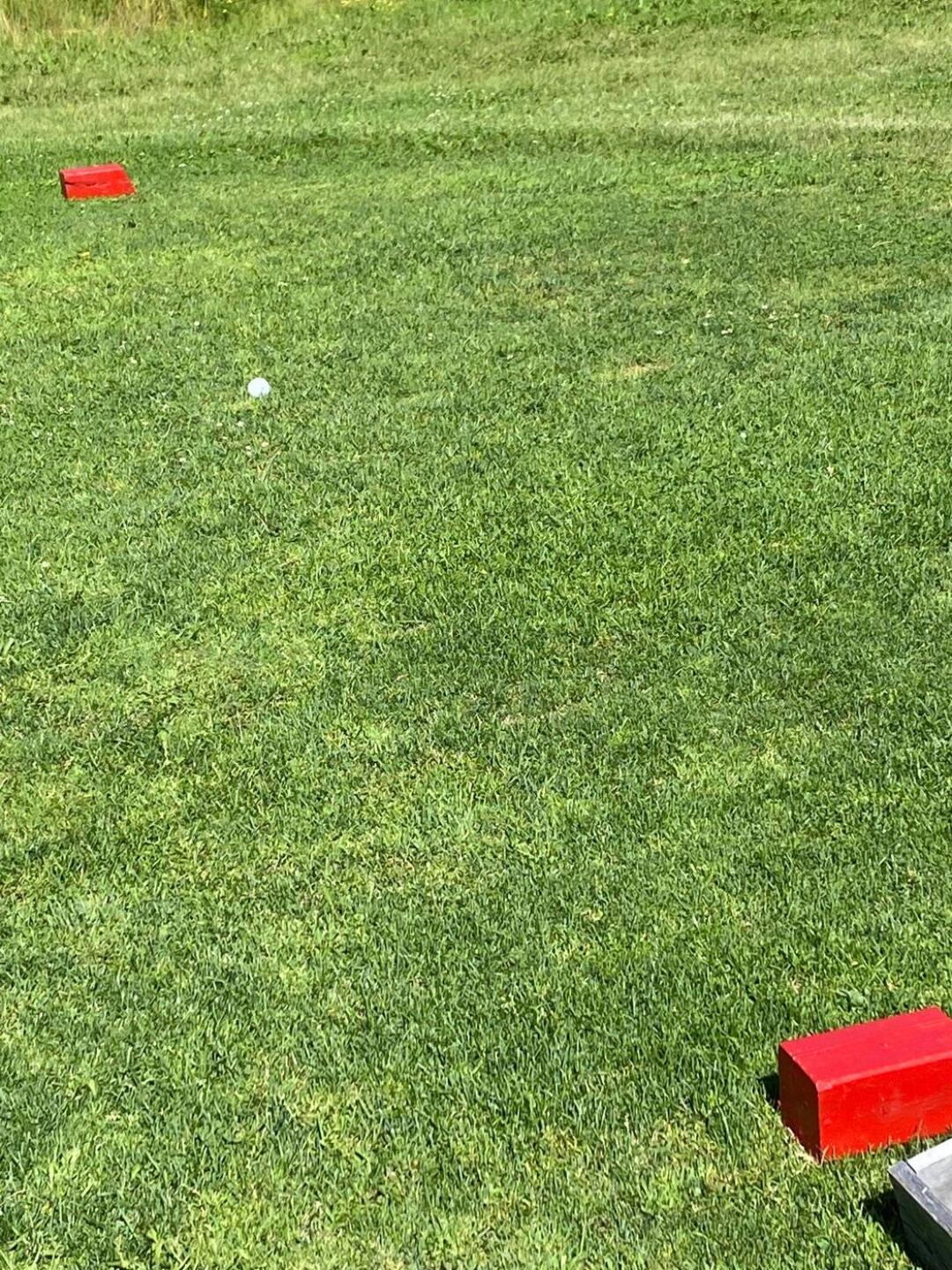 (Photo submitted by u314163207594 on 08/07/2022)