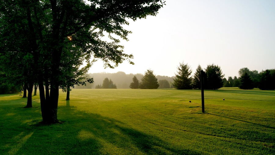 Tavistock GC