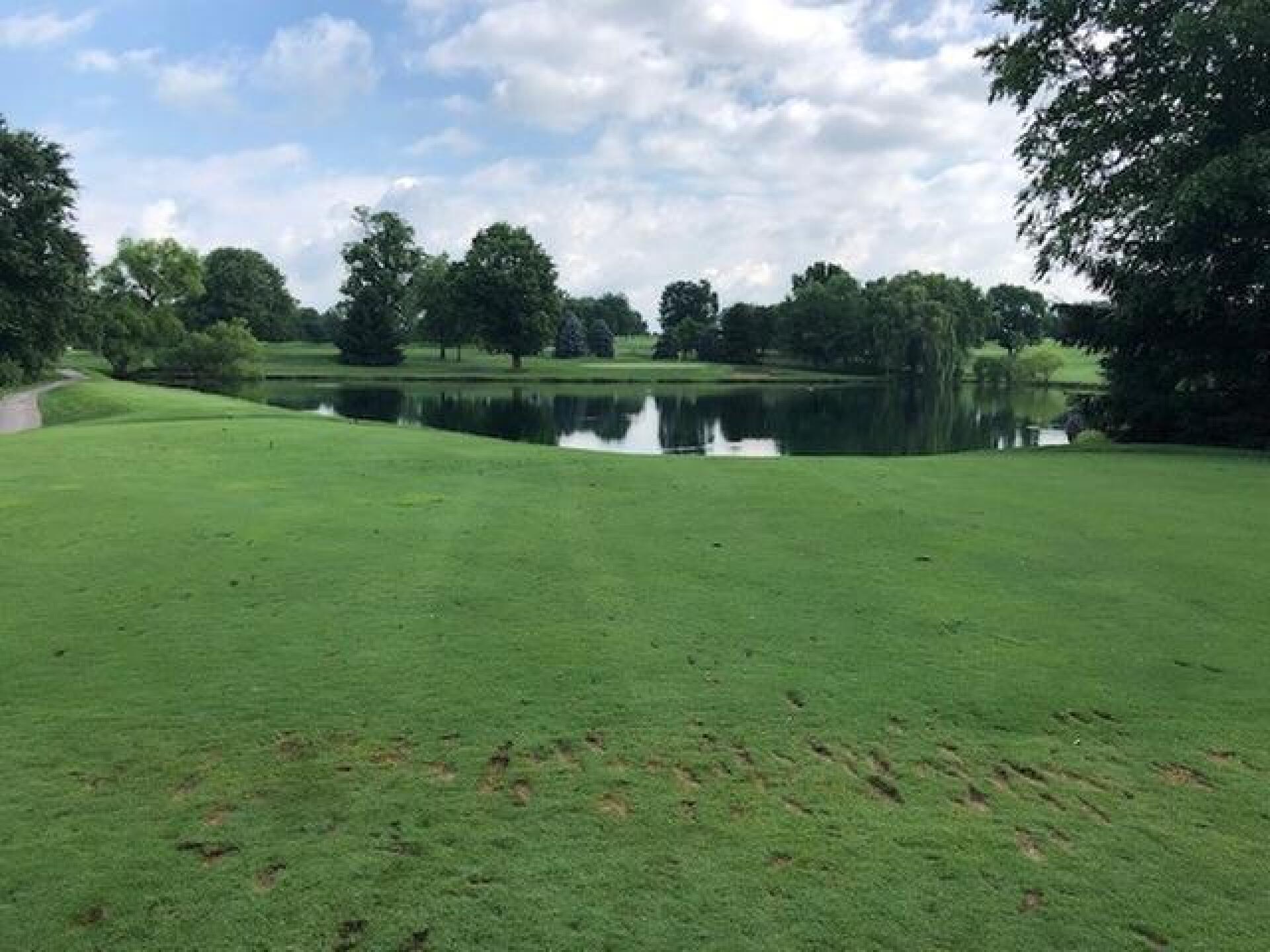 #8 Tee (Photo submitted by Duvy on 06/25/2018)