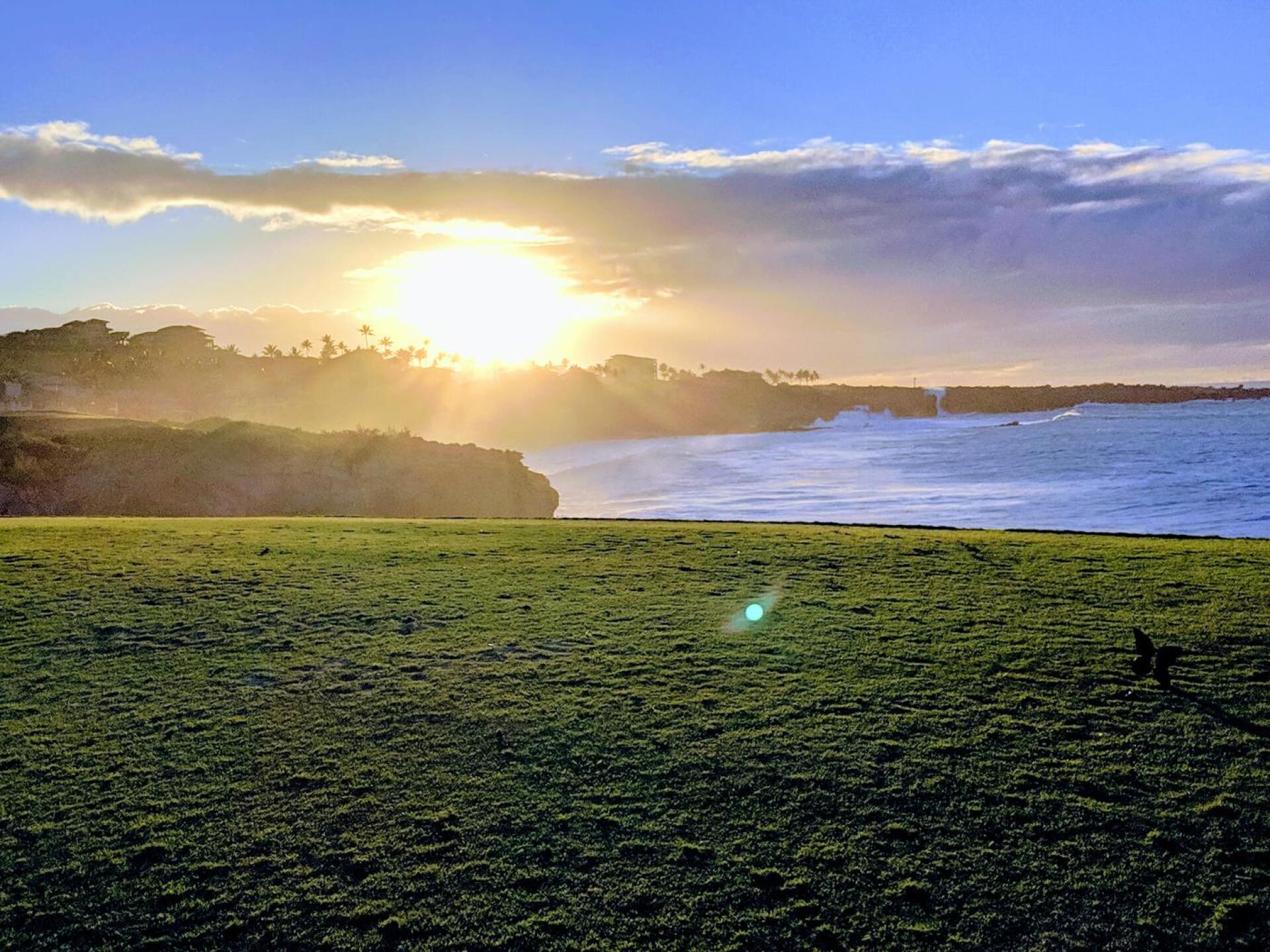 (Photo submitted by Snaphook417 on 01/28/2020)