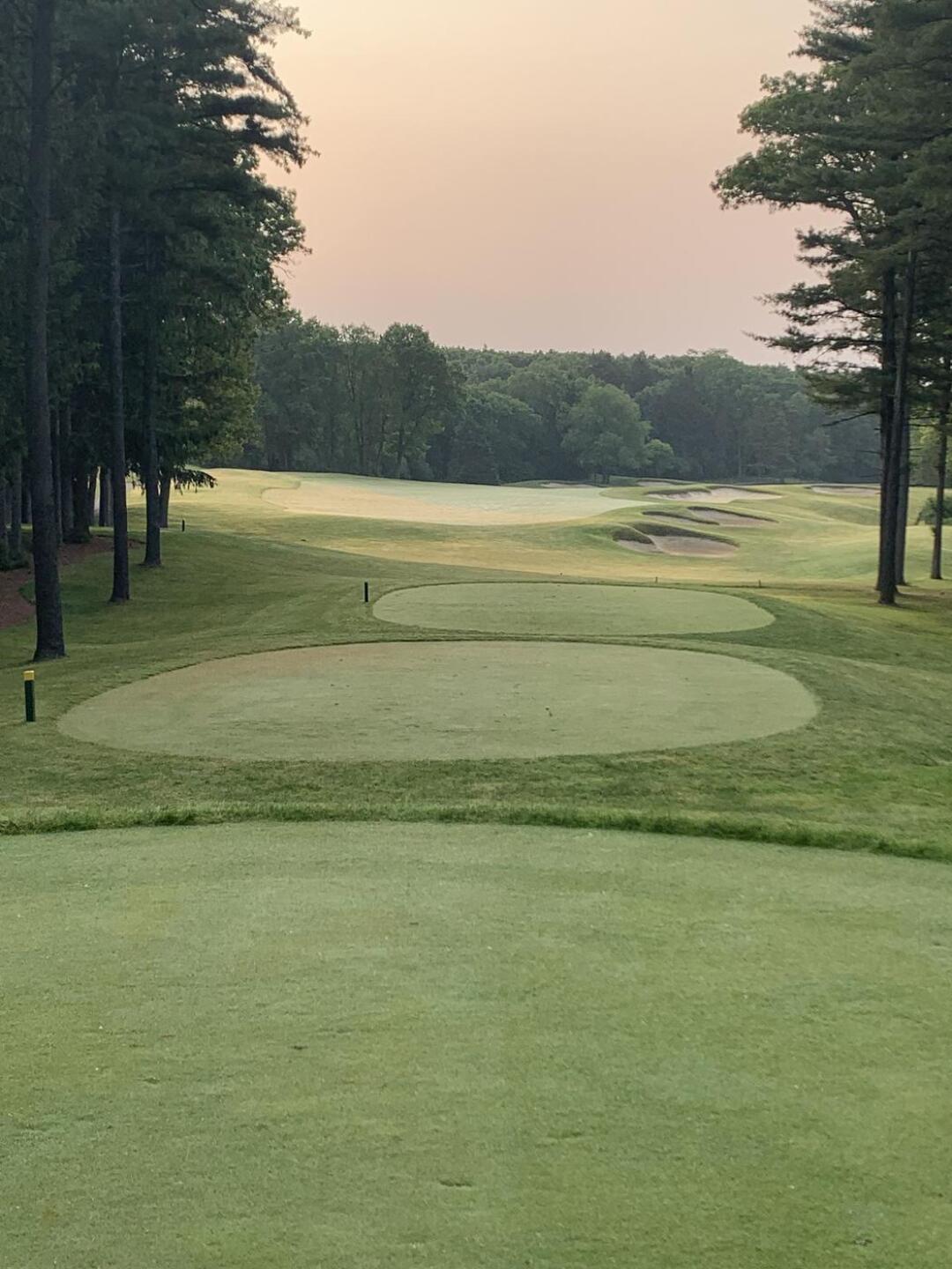 (Photo submitted by u302728448 on 06/15/2023)