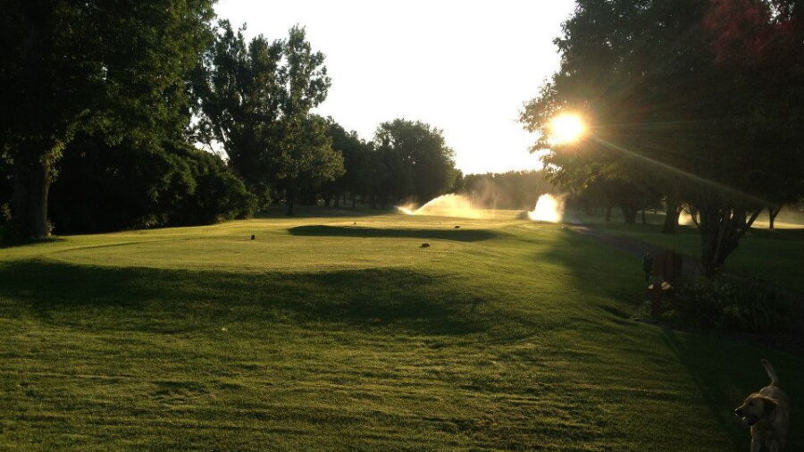 Championship at Elmwood FC: #14
