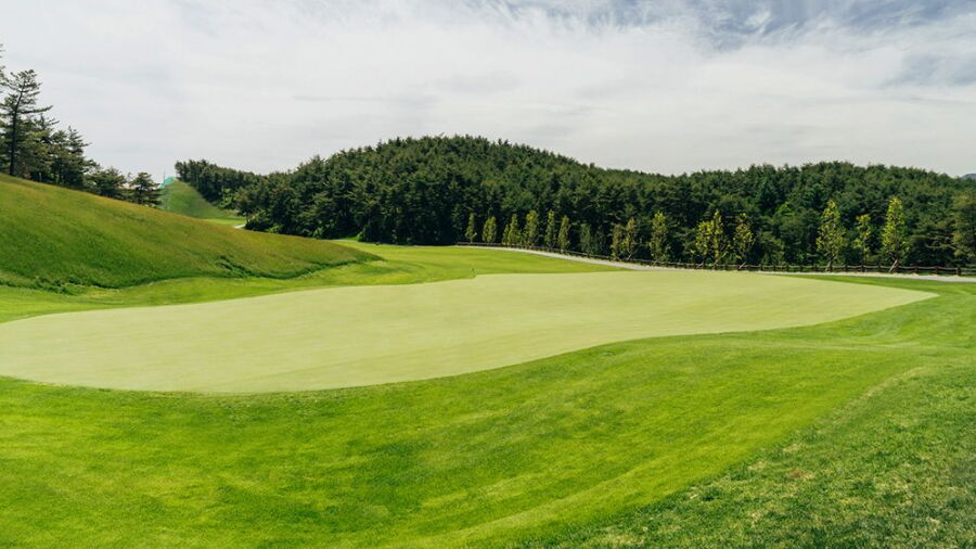 Golden Beach Golf - New