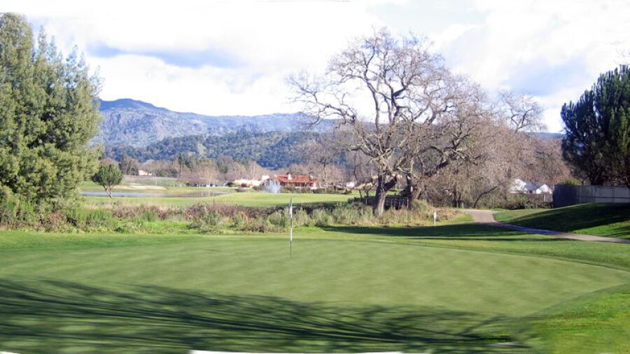 Vintner's GC