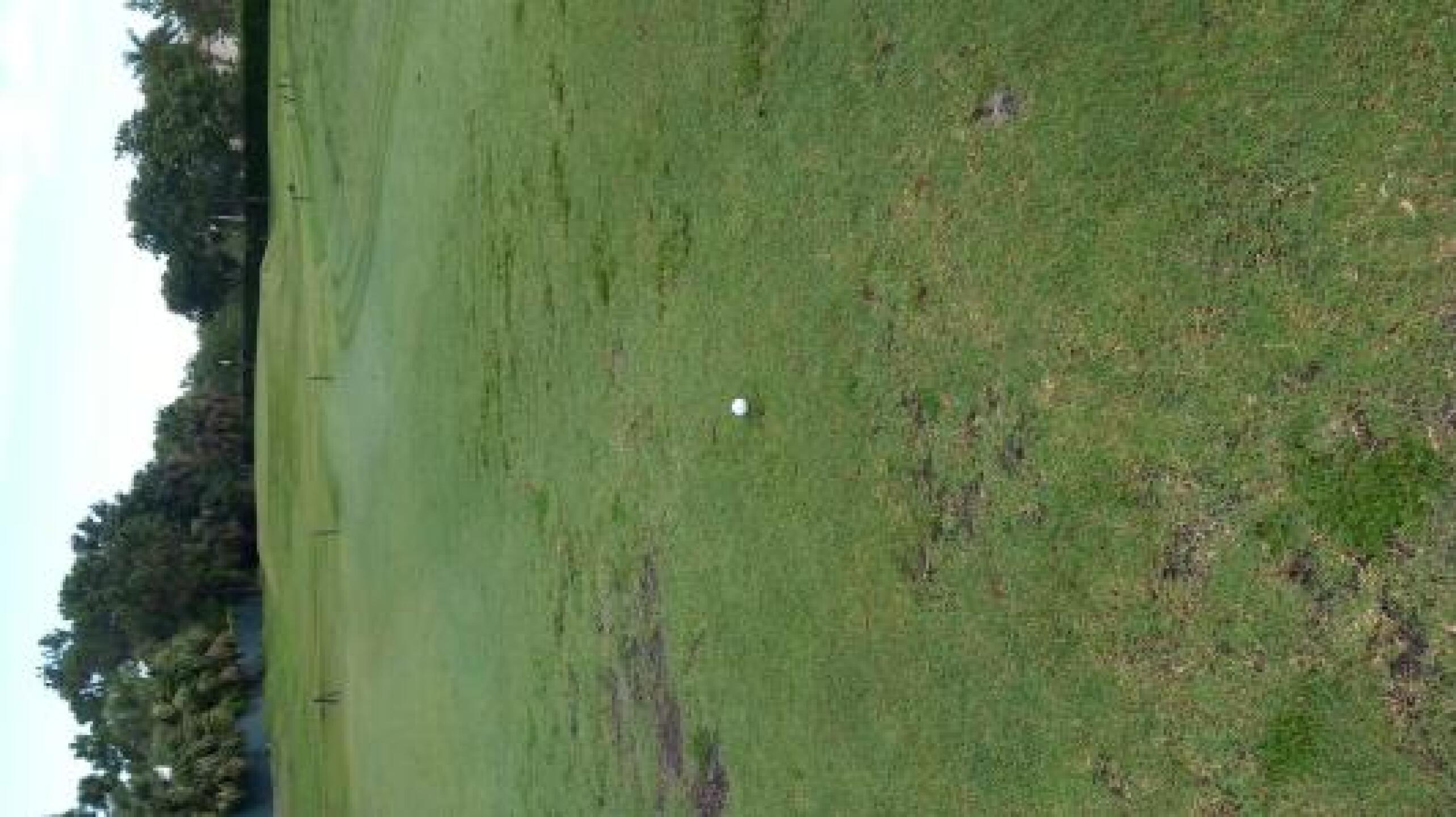 Example of most fairways (Photo submitted by Steve6581353 on 07/12/2013)