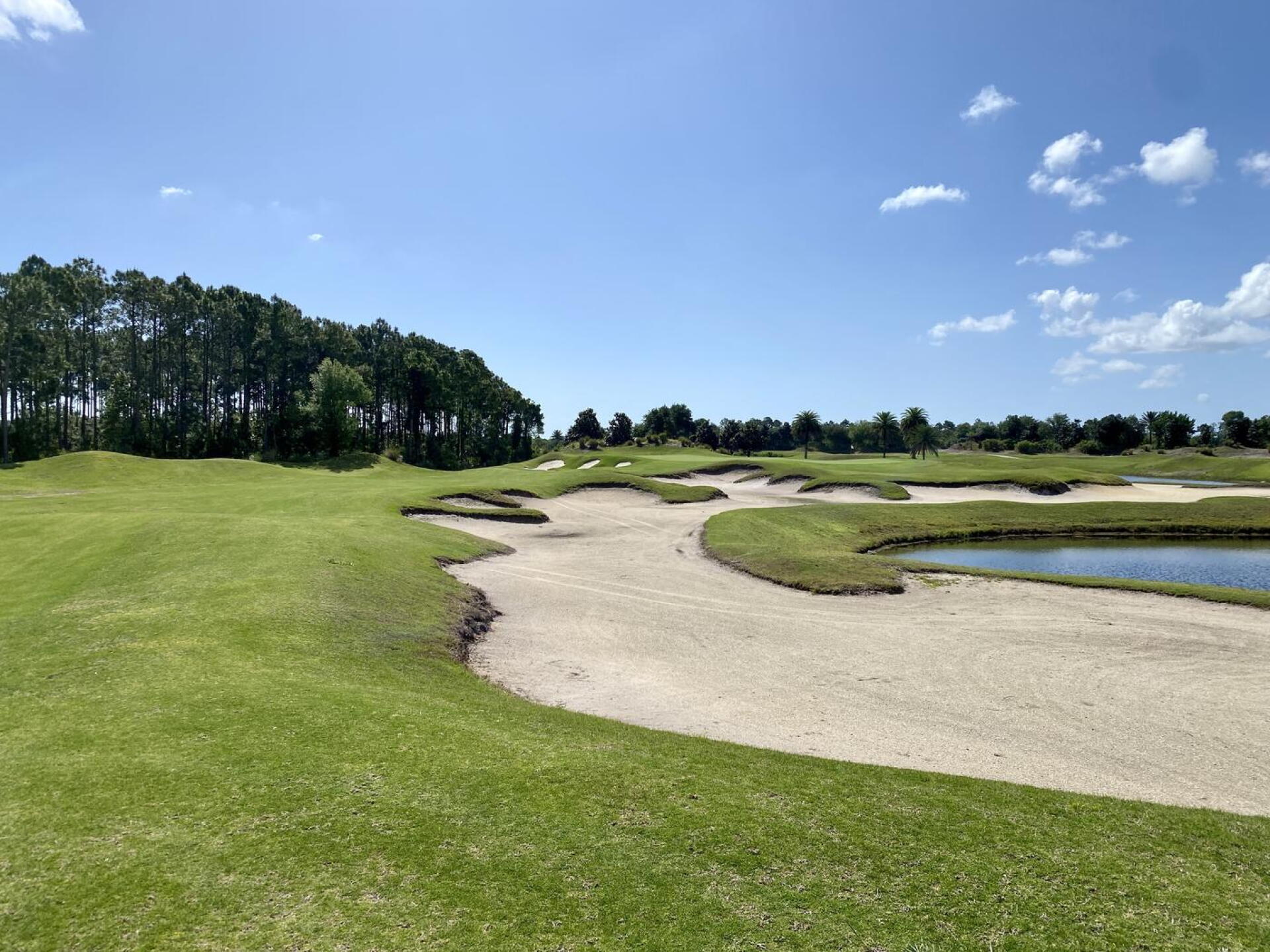 The Conservatory at Hammock Beach Resort, hole 15 (Photo submitted by TimGavrichGP on 06/29/2022)