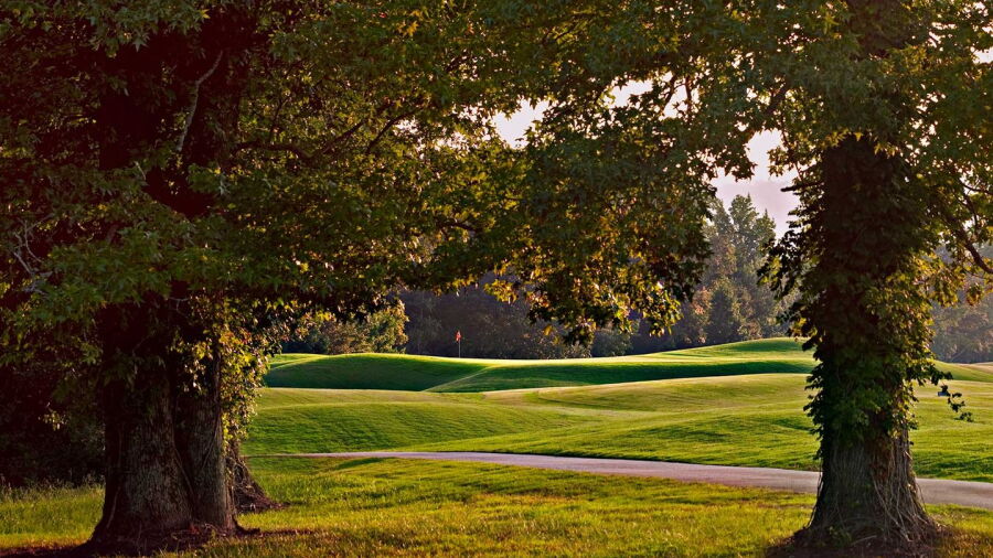 River at Hampton Cove GC: #17