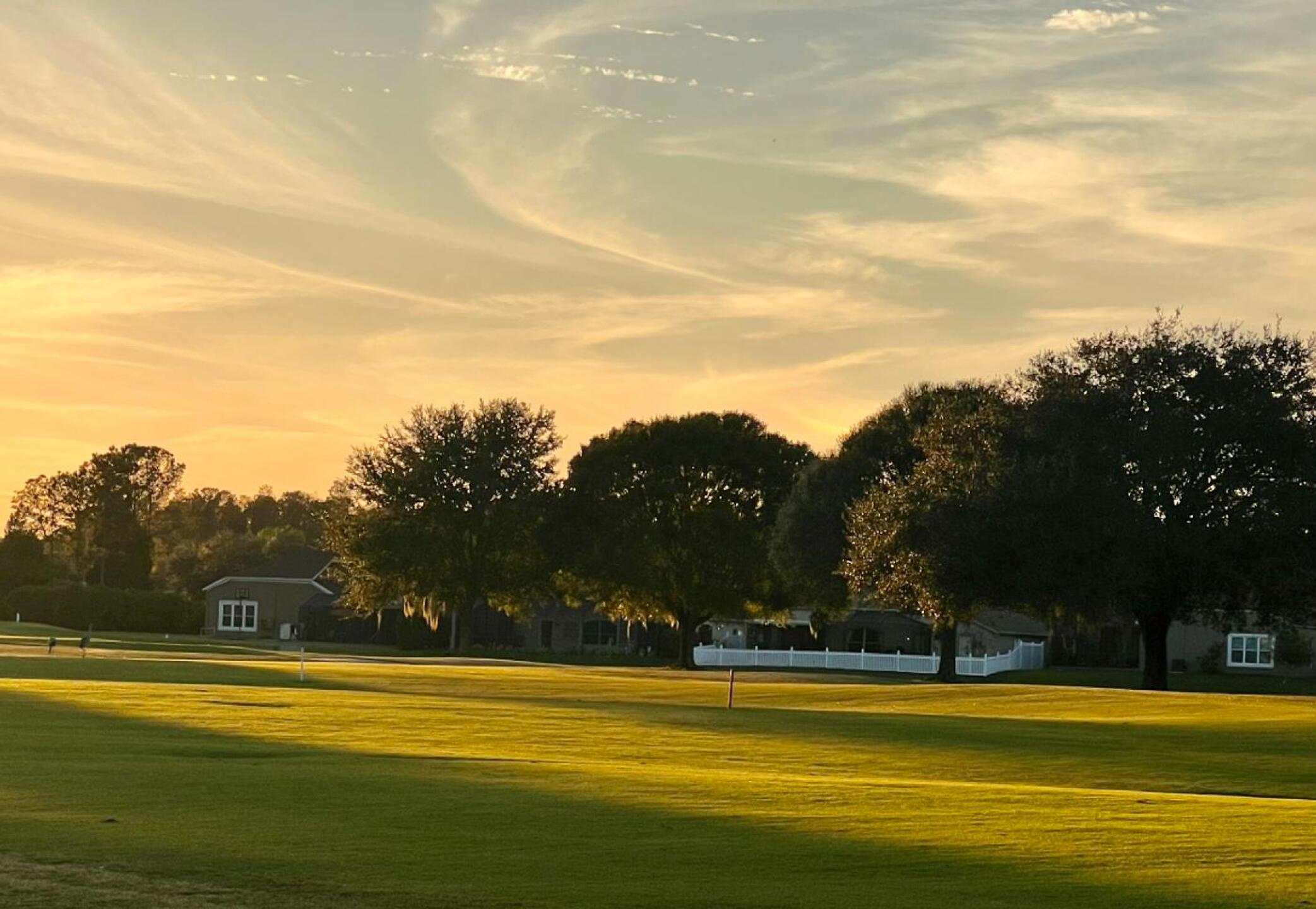 (Photo submitted by Xo7PTyjlOU2k2Rr4Etze on 12/30/2023)