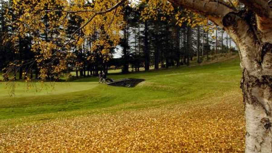 Otago GC: #16