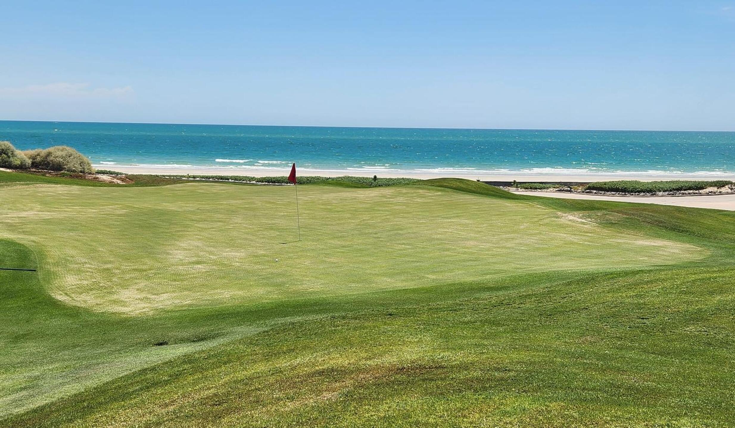 The 4th green Vidanta Golf Club, August 12, 2024 (Photo submitted by u165300364 on 08/13/2024)