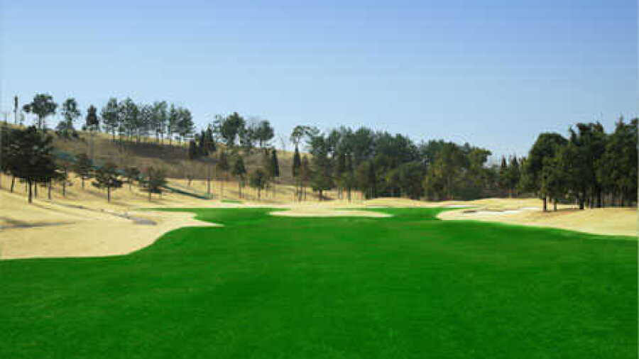 Token Shuga CC - North Wing: #5