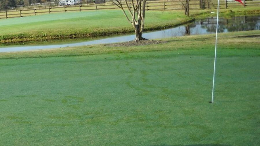 Palm Valley GC: #2
