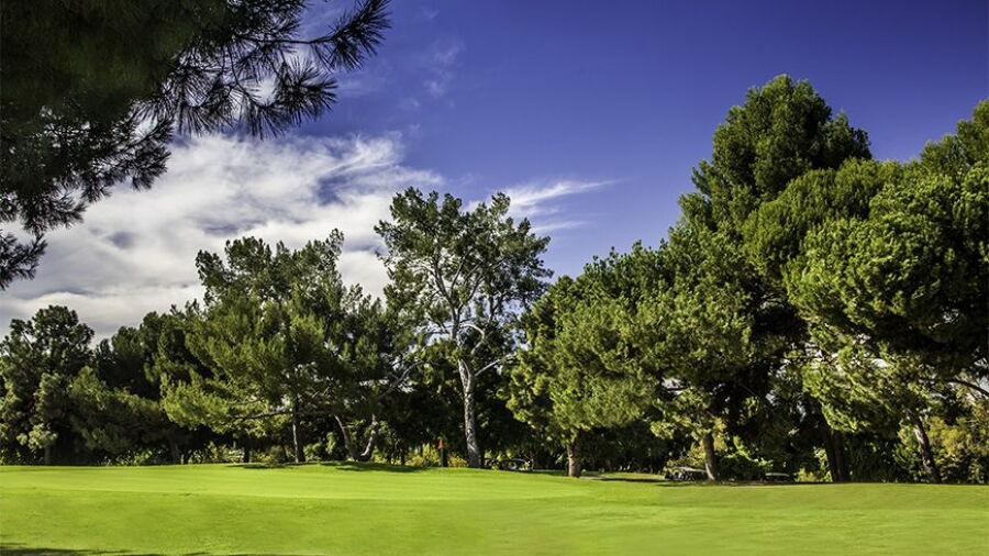 Harbor Park GC