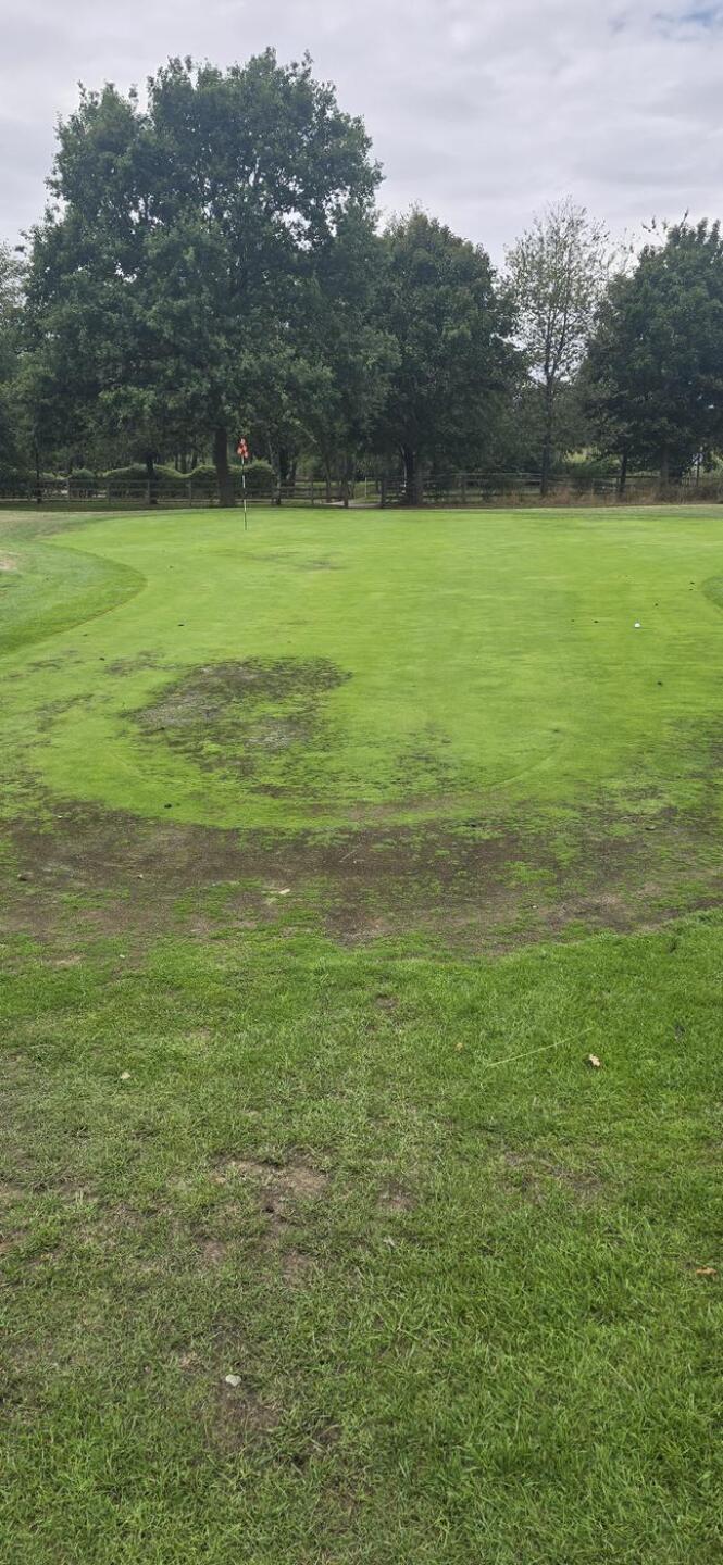 (Photo submitted by tomlew7 on 08/04/2025)