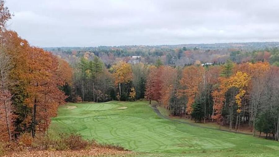 Toddy Brook - fall leaves