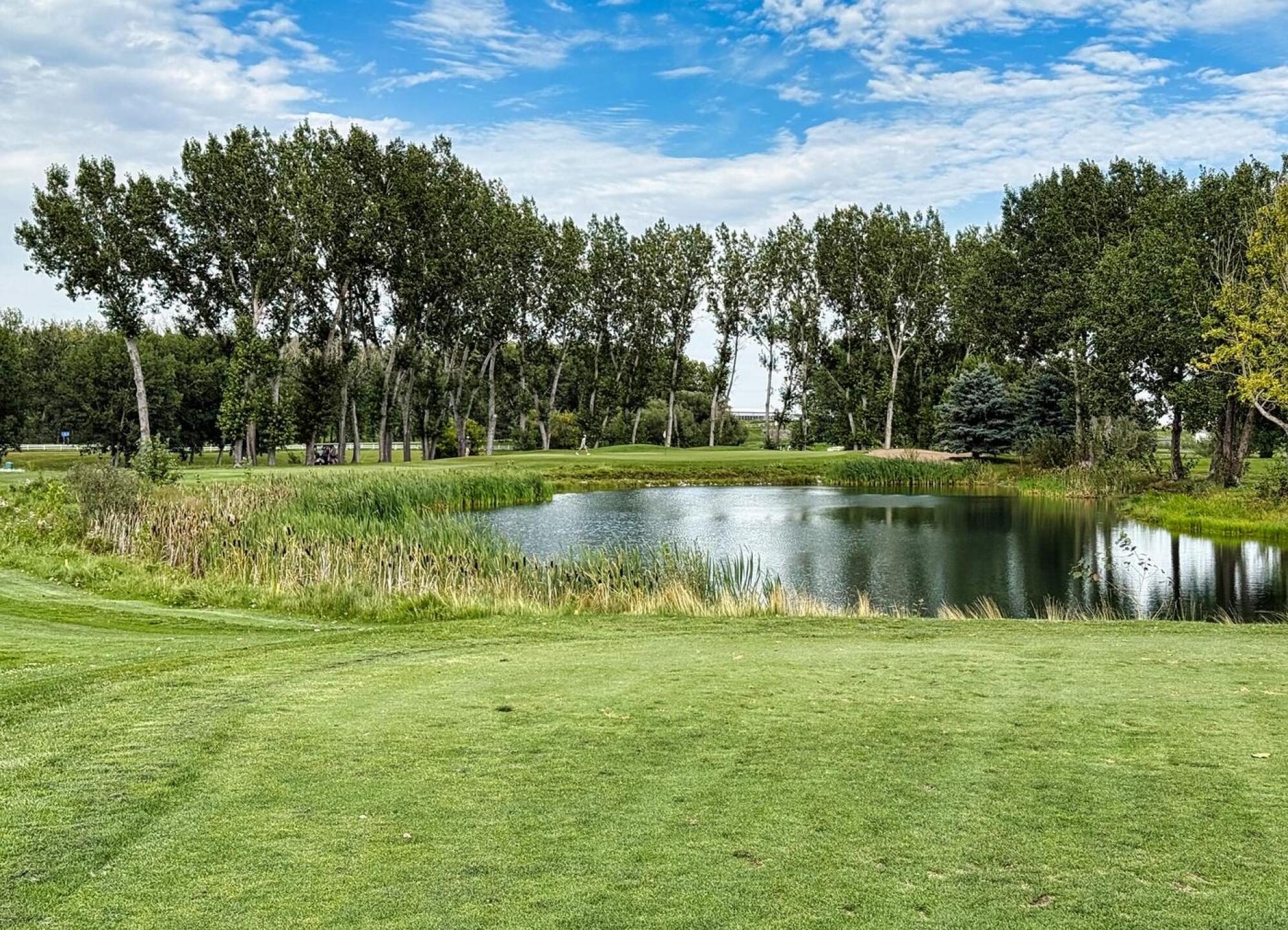 Nanton Golf Club, Hole 13, Par 3, 153 yds (Photo submitted by DYakimec on 12/14/2025)