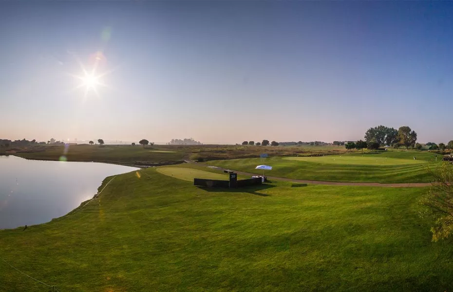 Serengeti Estates - Signature: #10