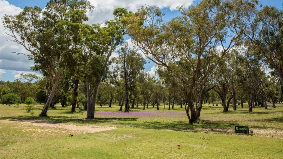 Warialda Golf and Bowling Club: #8