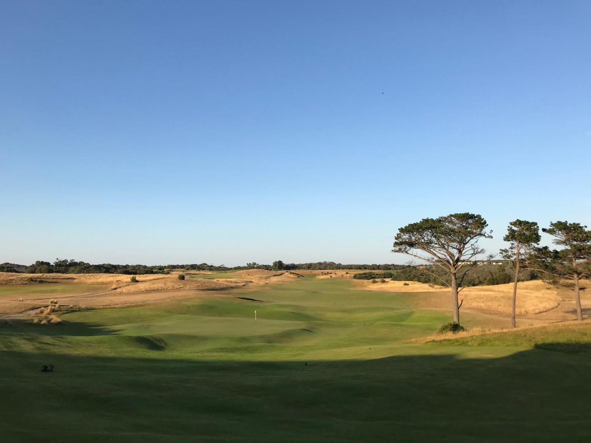 Finishing holes (Photo submitted by theglasseyegolfer on 01/30/2020)