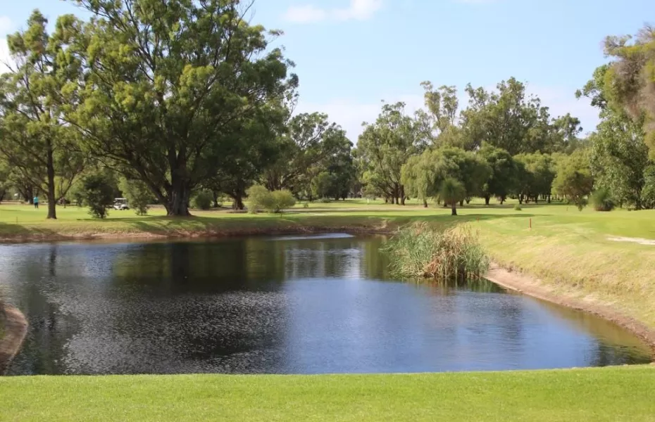 Pinjarra GC: #4
