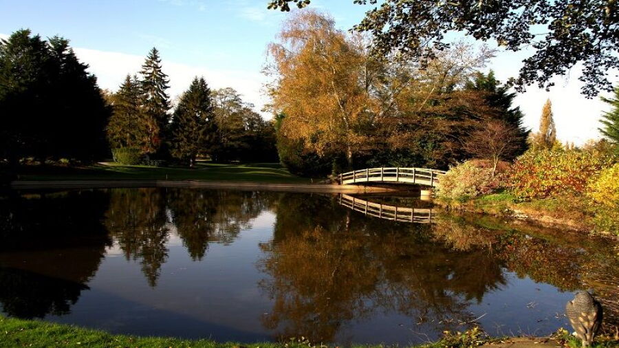 Fourqueux GC