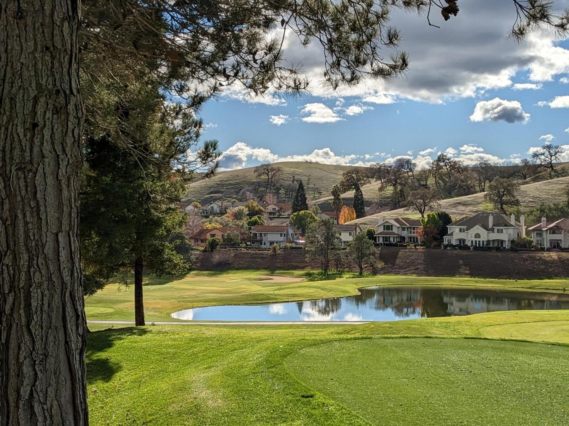 (Photo submitted by linz4ucla on 12/13/2022)