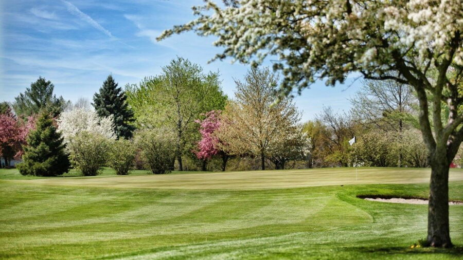 Mattoon GCC