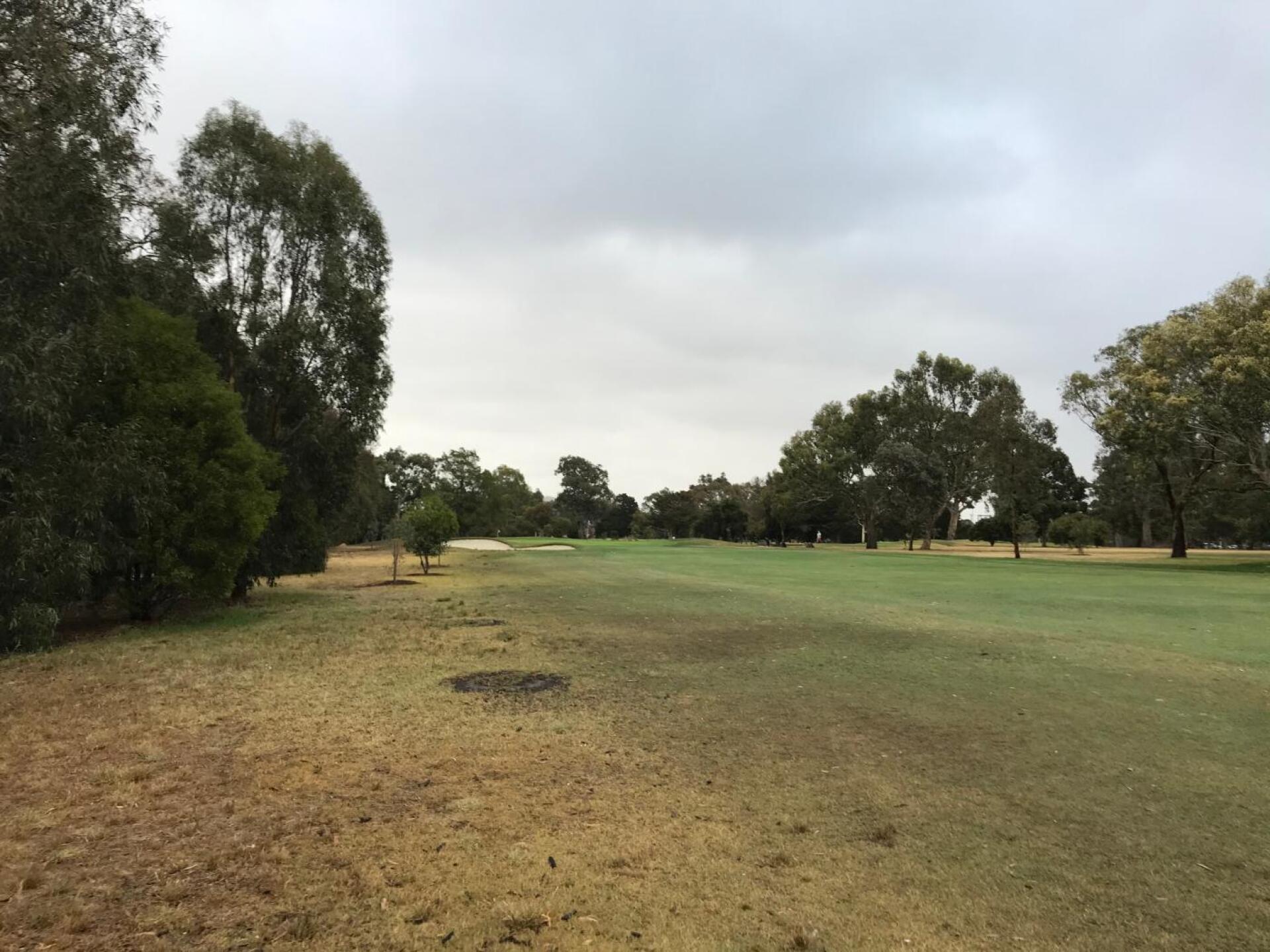 (Photo submitted by theglasseyegolfer on 01/02/2020)