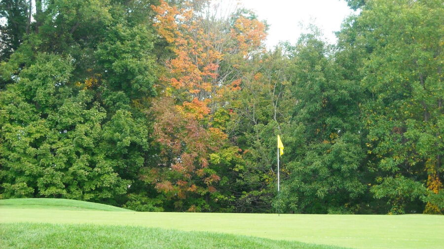 Lyman Orchards GC