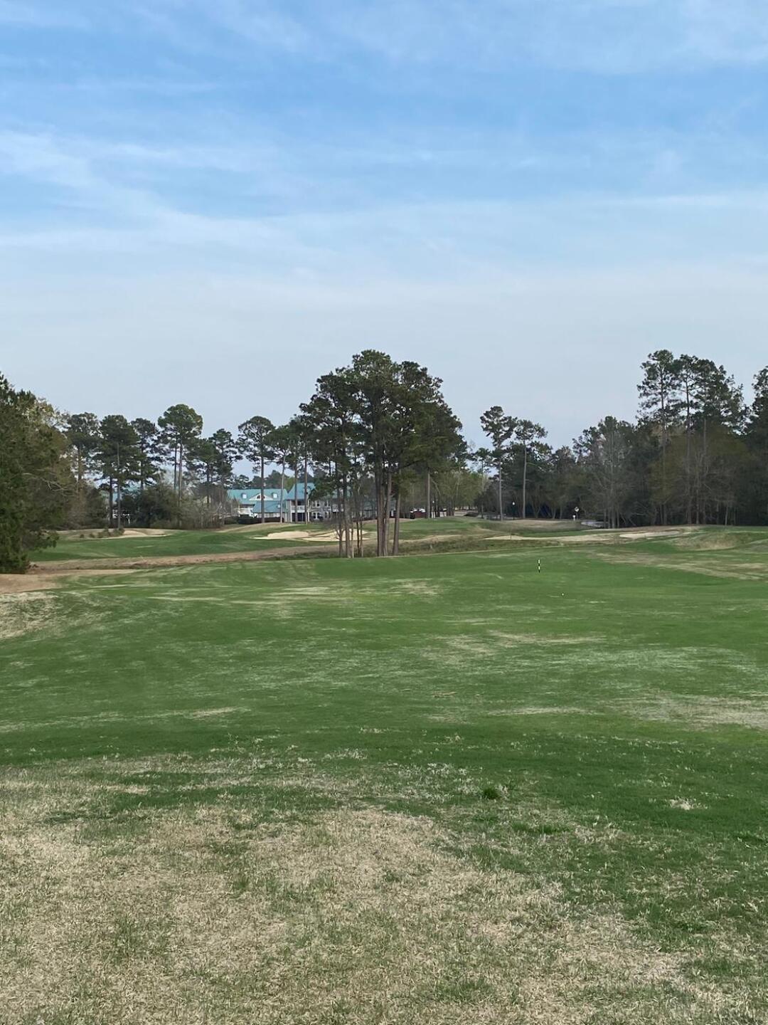 #9 Egret - A short par five with numerous possible paths off the tee. (Photo submitted by DenisDotson on 04/01/2020)