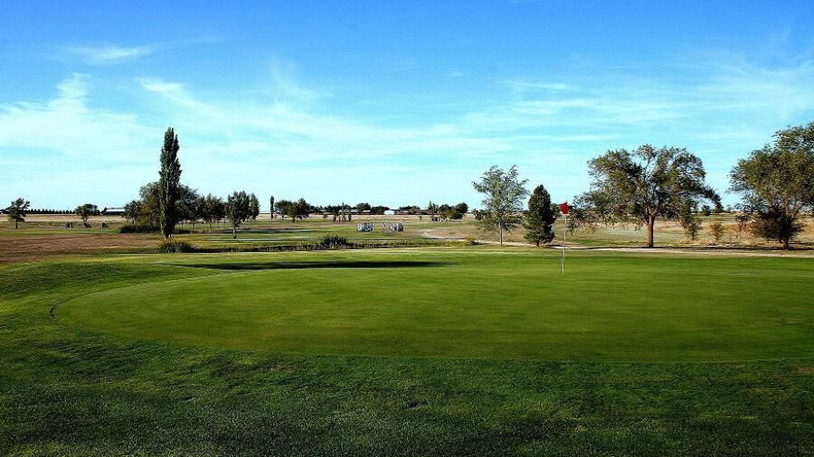 CC of Dimmitt