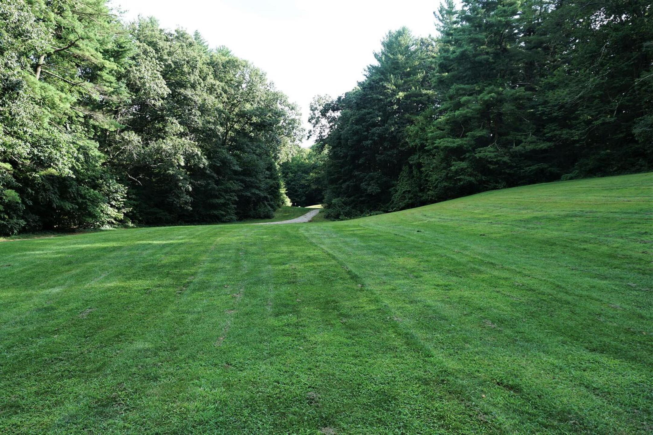 Eighth: Toughest driving hole and longest on course. A look back to the tee and its narrow chute of trees. (Photo submitted by AptlyLinked on 08/22/2021)