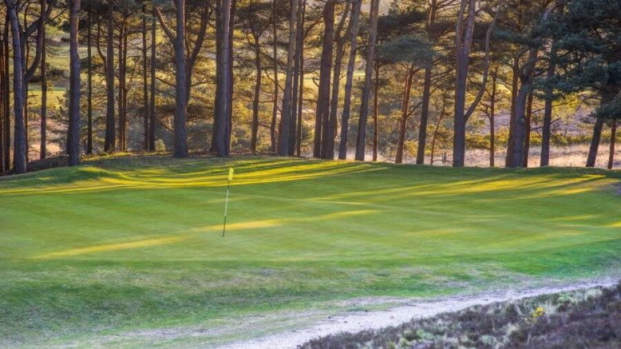 Isle of Purbeck GC