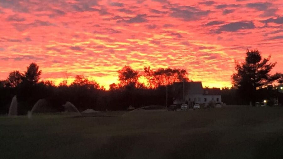 Barnes Brook GC