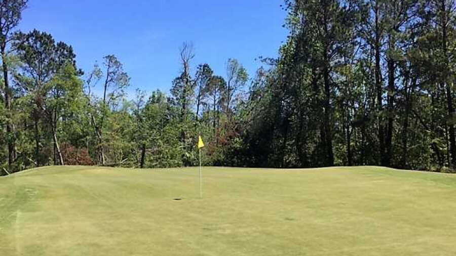 Arthur Hills at Palmetto Hall Plantation: #3
