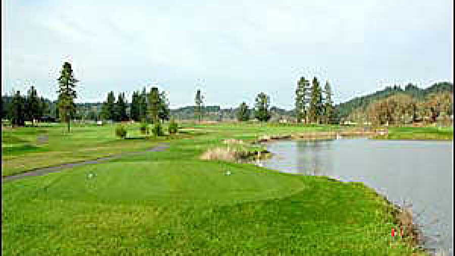 Mallard Creek #9
