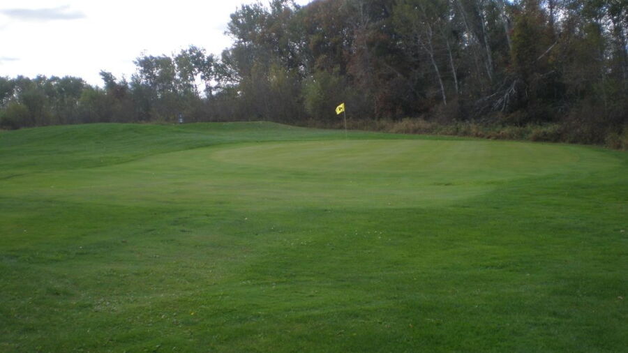 Sanbrook GC - Executive: #4