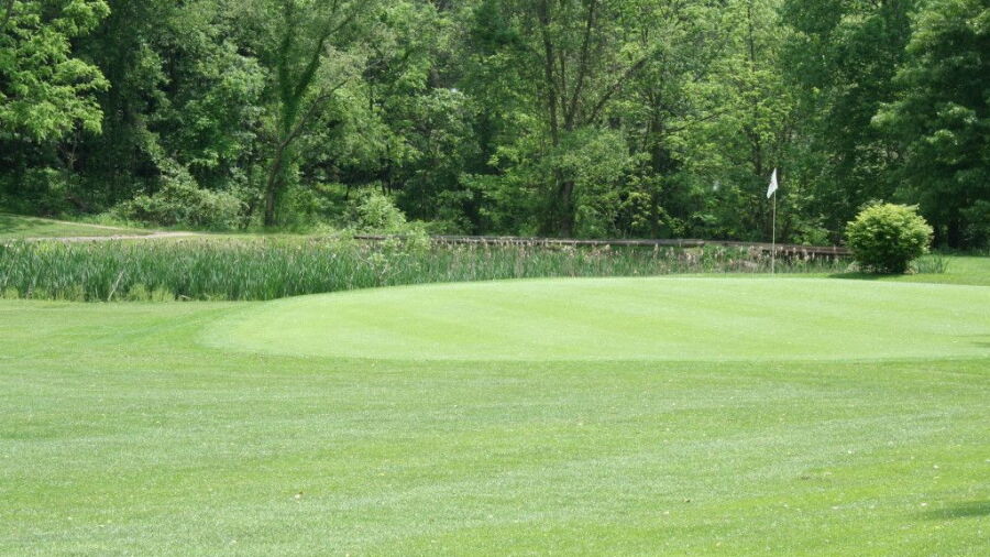 Manor Valley CC