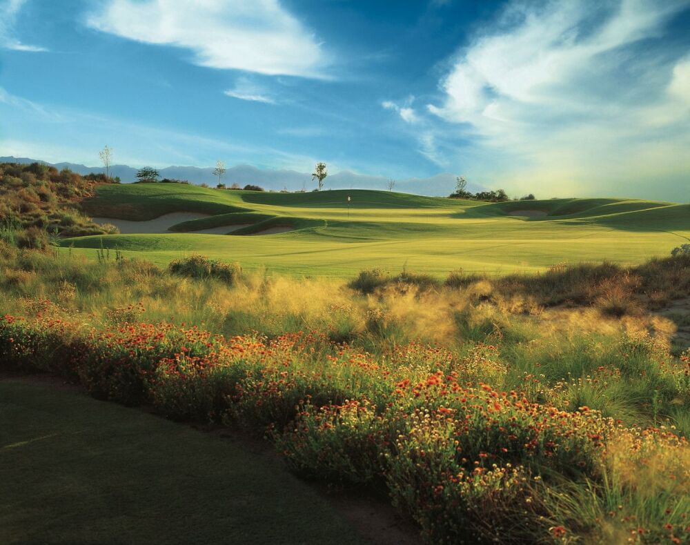 Devil's Claw at Whirlwind GC: #9