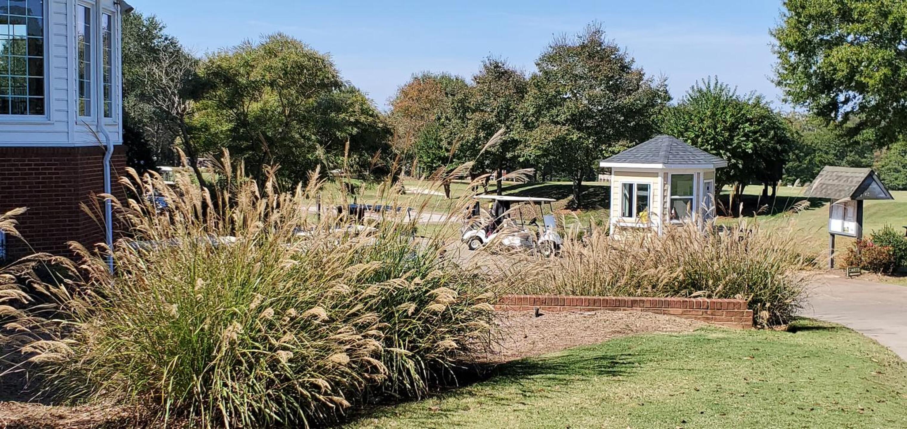 (Photo submitted by u314160900671 on 10/21/2020)