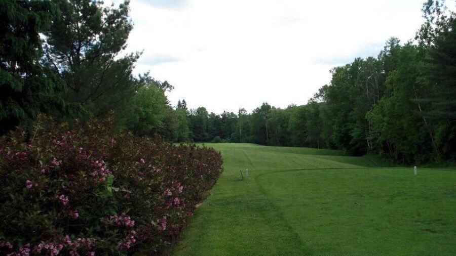 Club de Golf Piedmont: #7