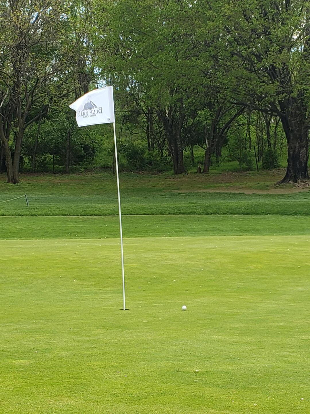 # 11 par 3 - birdie! (Photo submitted by Mark3902745 on 04/21/2020)