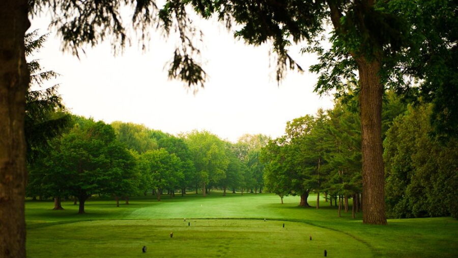 Craigowan GC: #8