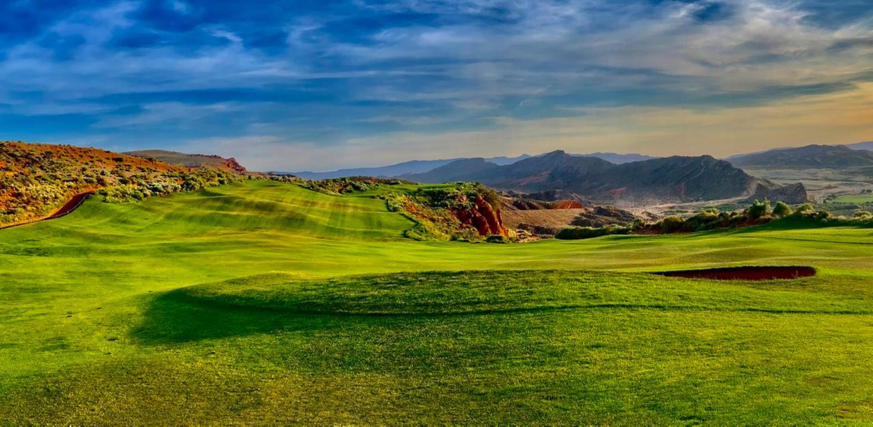 (Photo submitted by arguswilson on 05/08/2020)