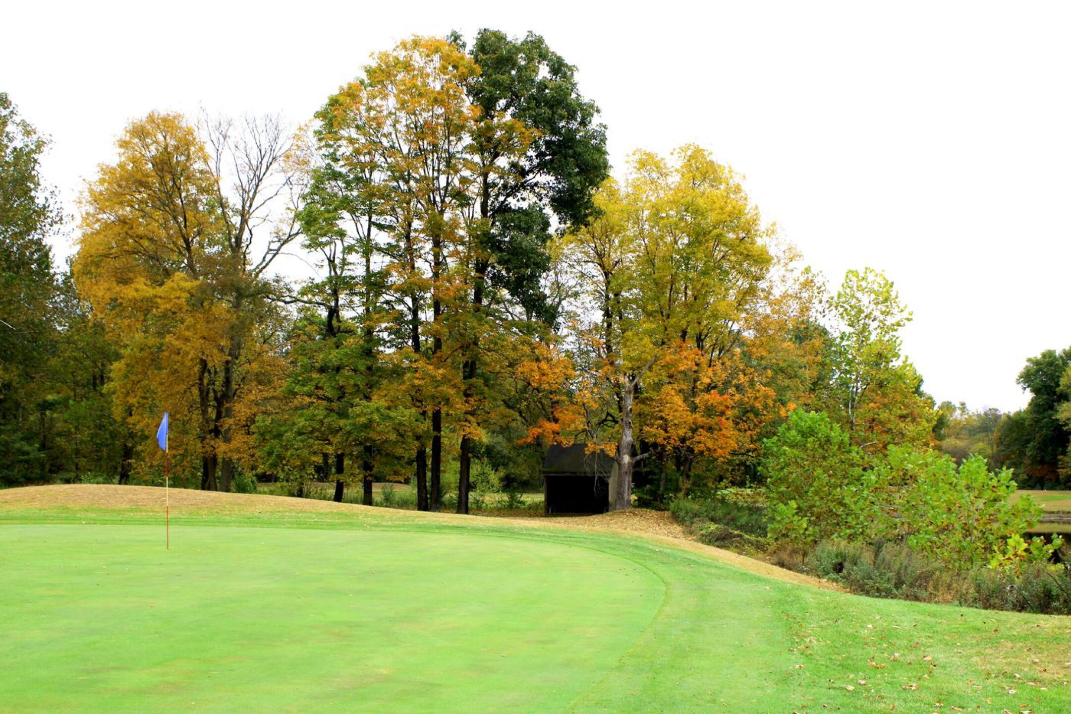 The fifth green, with a partially obscured view of a pond to its right. (Photo submitted by AptlyLinked on 10/19/2024)