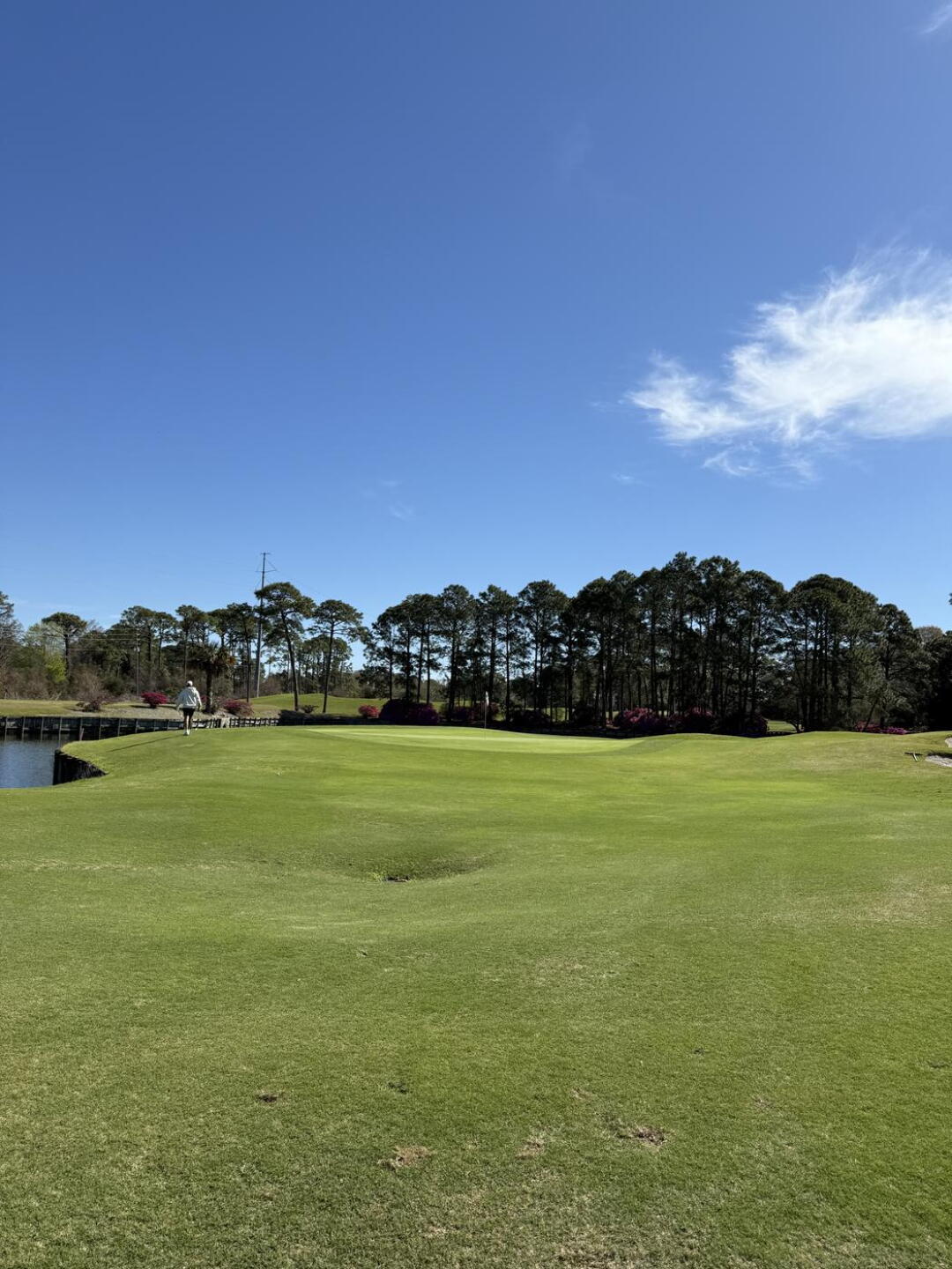 Par 4 16 (Photo submitted by u314159831003 on 03/19/2025)
