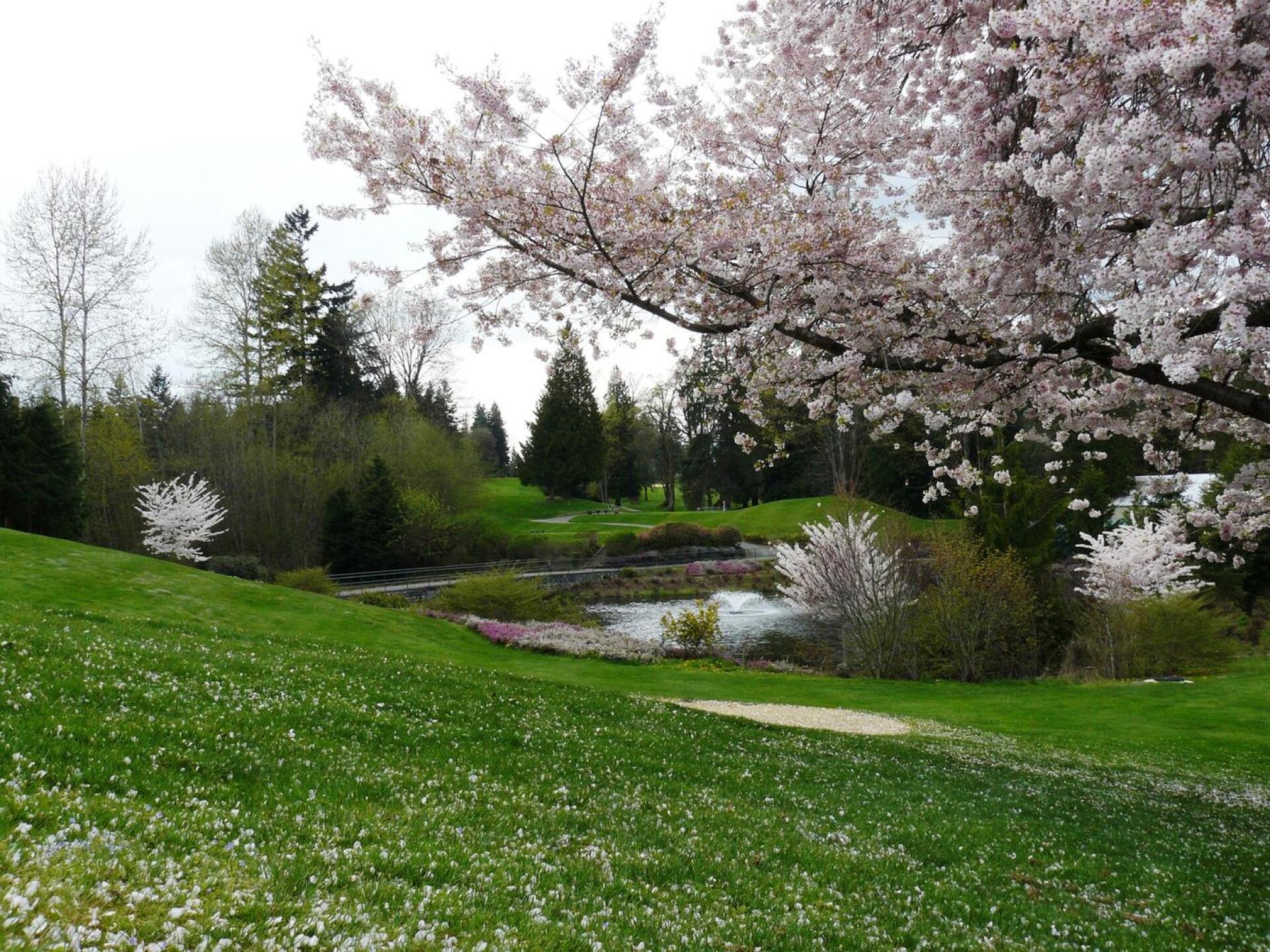 Hole 12 Par 3 (Photo submitted by FWFunForNotMuchMon on 05/04/2016)