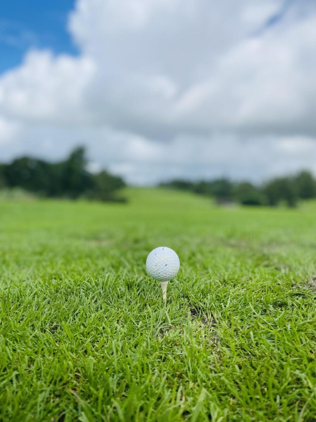 (Photo submitted by cjay07 on 09/11/2023)