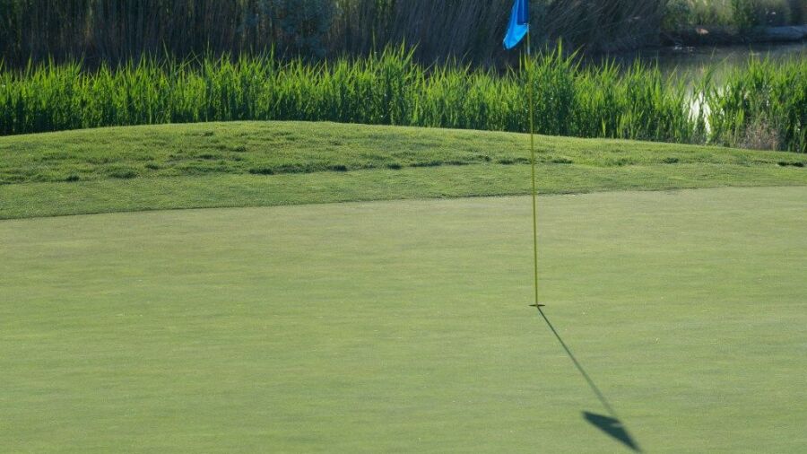 Stonebridge GC