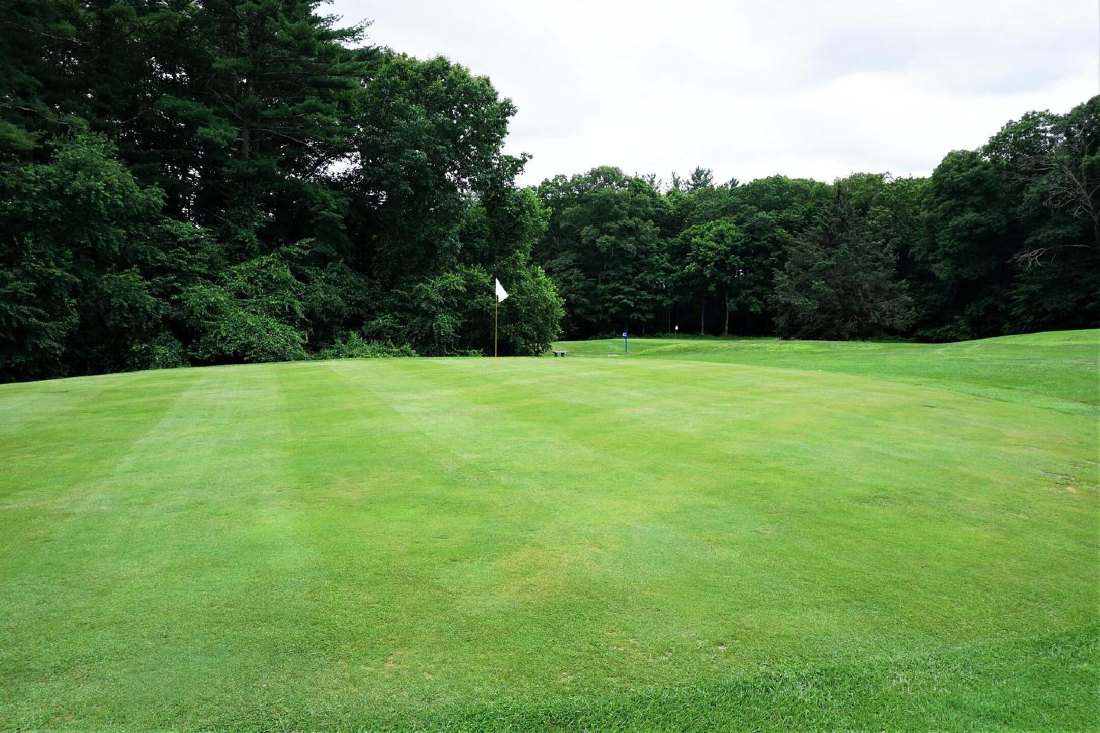 A close look at green two (July 4 photo). (Photo submitted by AptlyLinked on 08/22/2021)